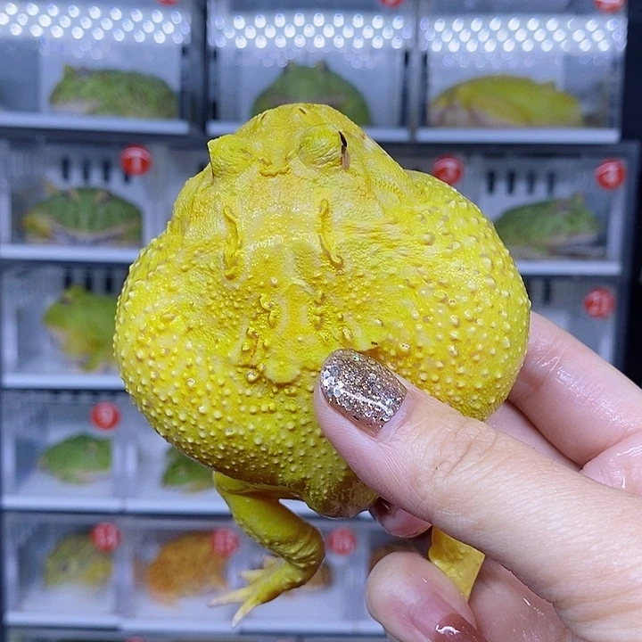 特价秒杀现货特价带盒子