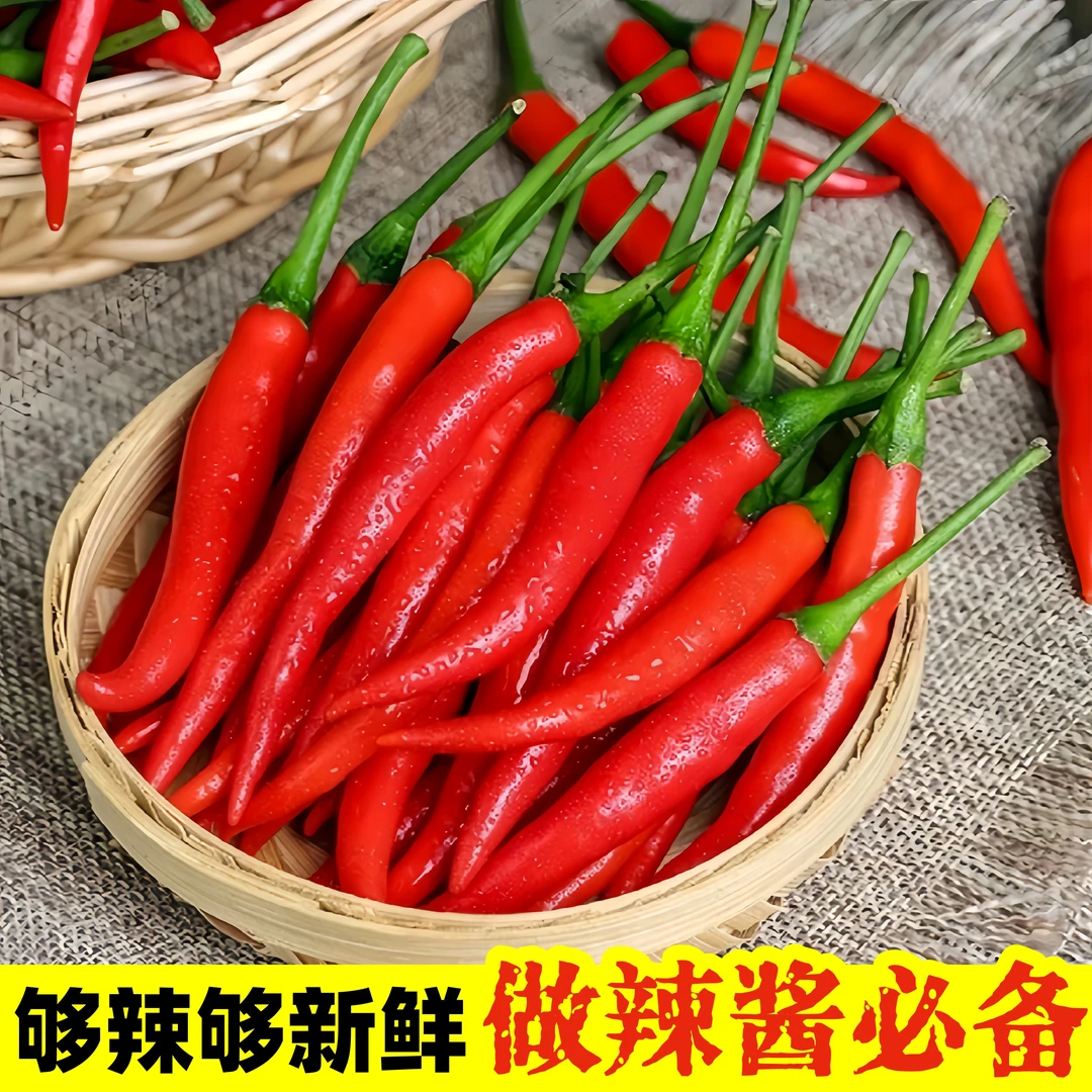 【新鲜采摘】正宗云南小米辣鲜辣椒魔鬼辣朝天椒产地直发新鲜蔬菜