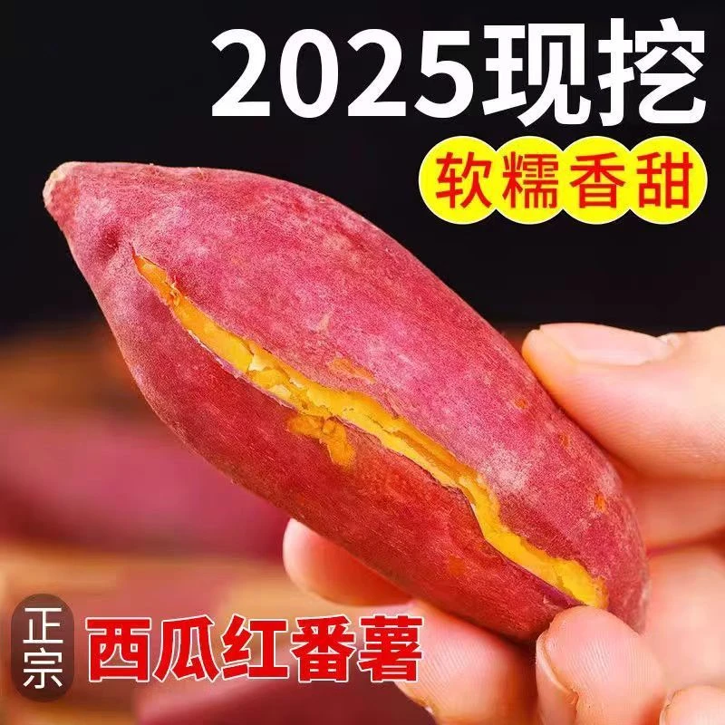 云南正宗高山种植西瓜红红皮红心现挖新鲜软糯香甜小蜜薯