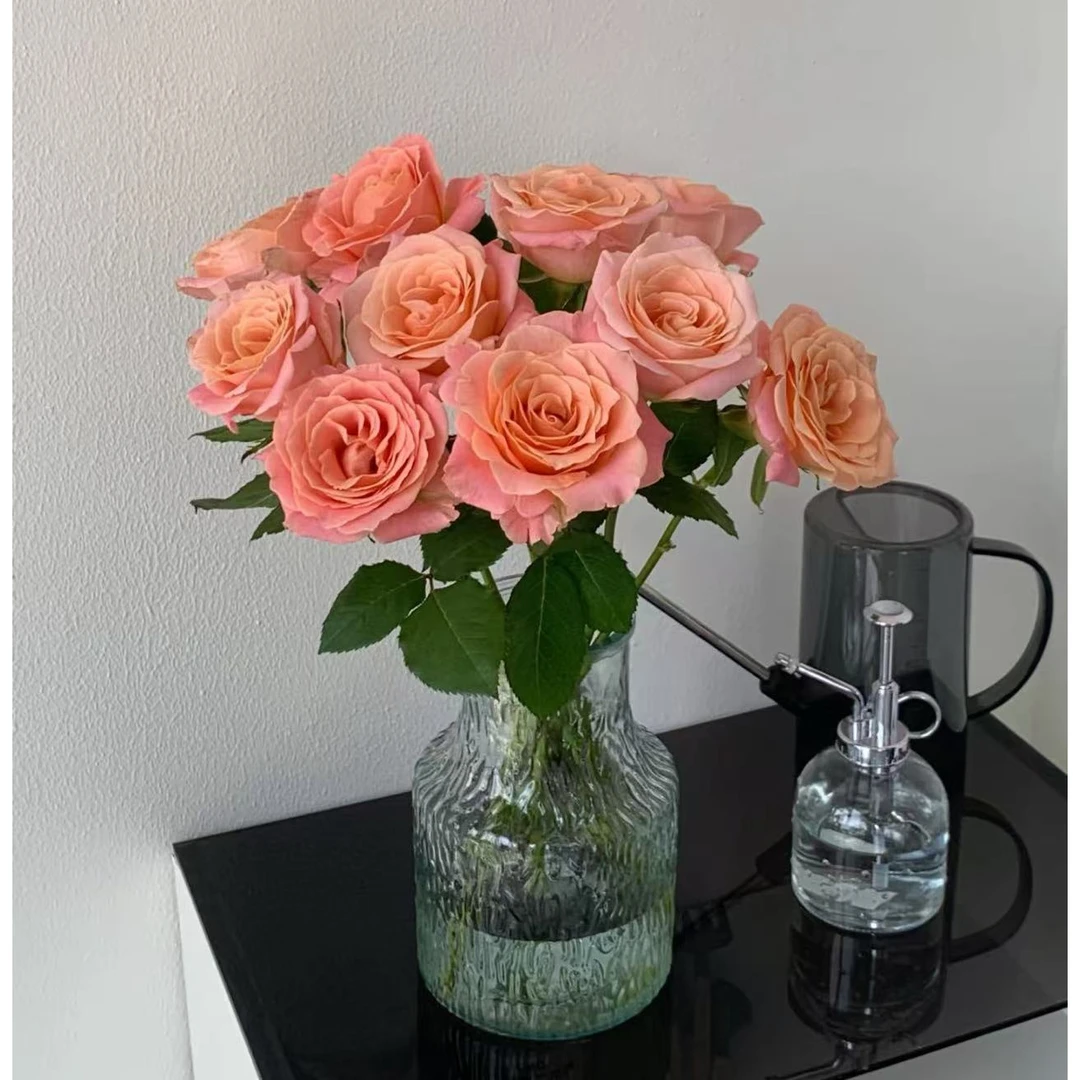 【朱小姐玫瑰】云南优选鲜切花昆明基地直发家用花