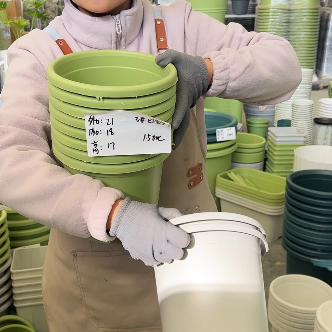 四季盆3#果绿色10个无托