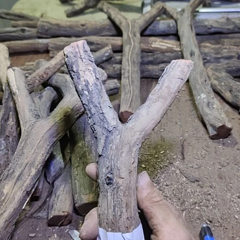 阿***彬火琉璃原杈，不保沉水，慎拍！