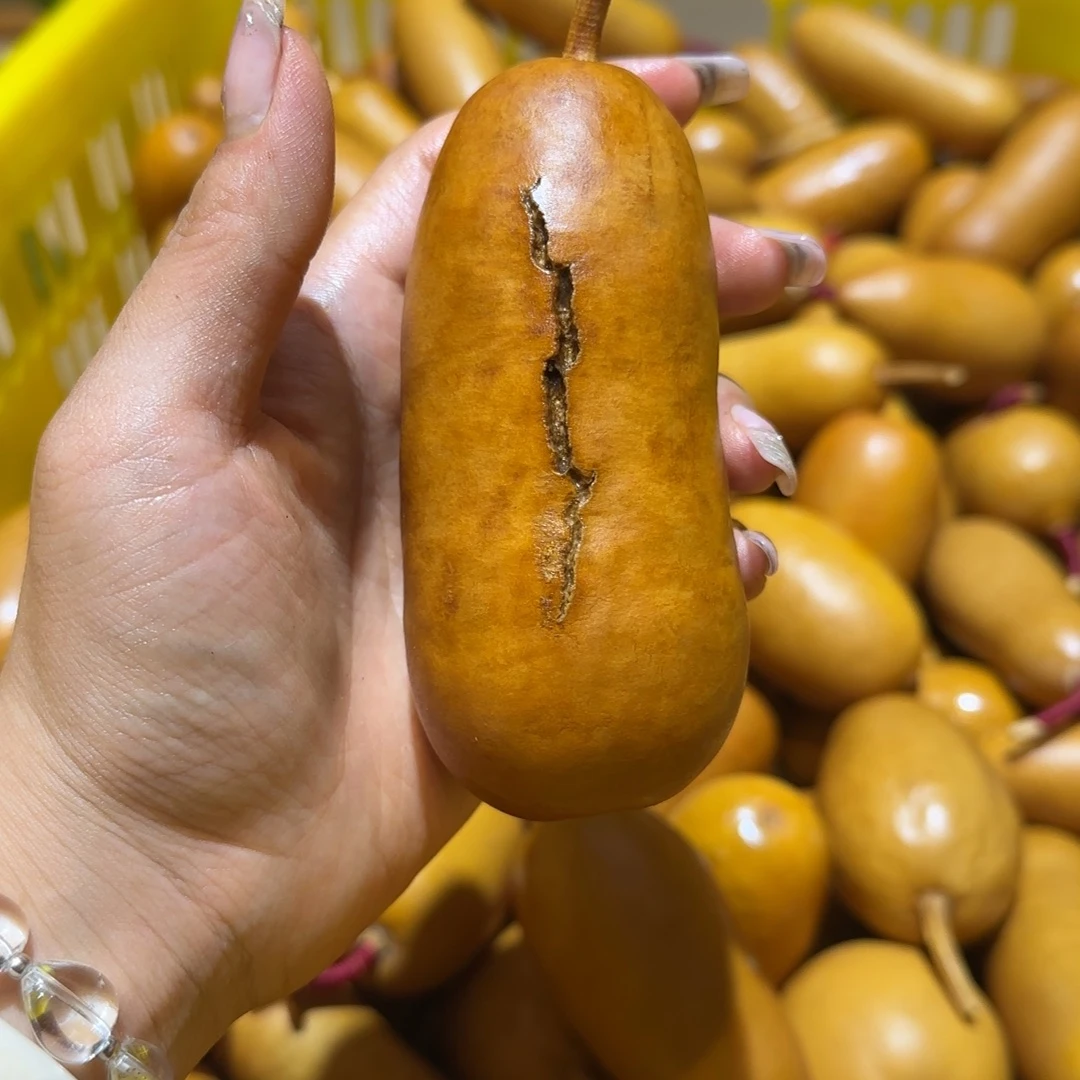 小***鱼哈哈哈哈哈哈哈哈哈哈哈