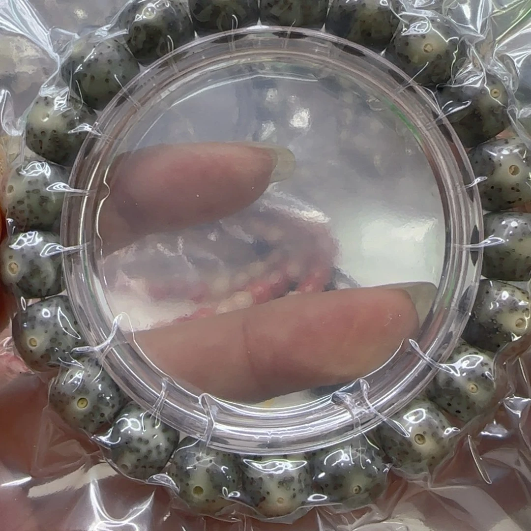 星月菩提手串91哈哈绿星月菩提1.1桶单圈