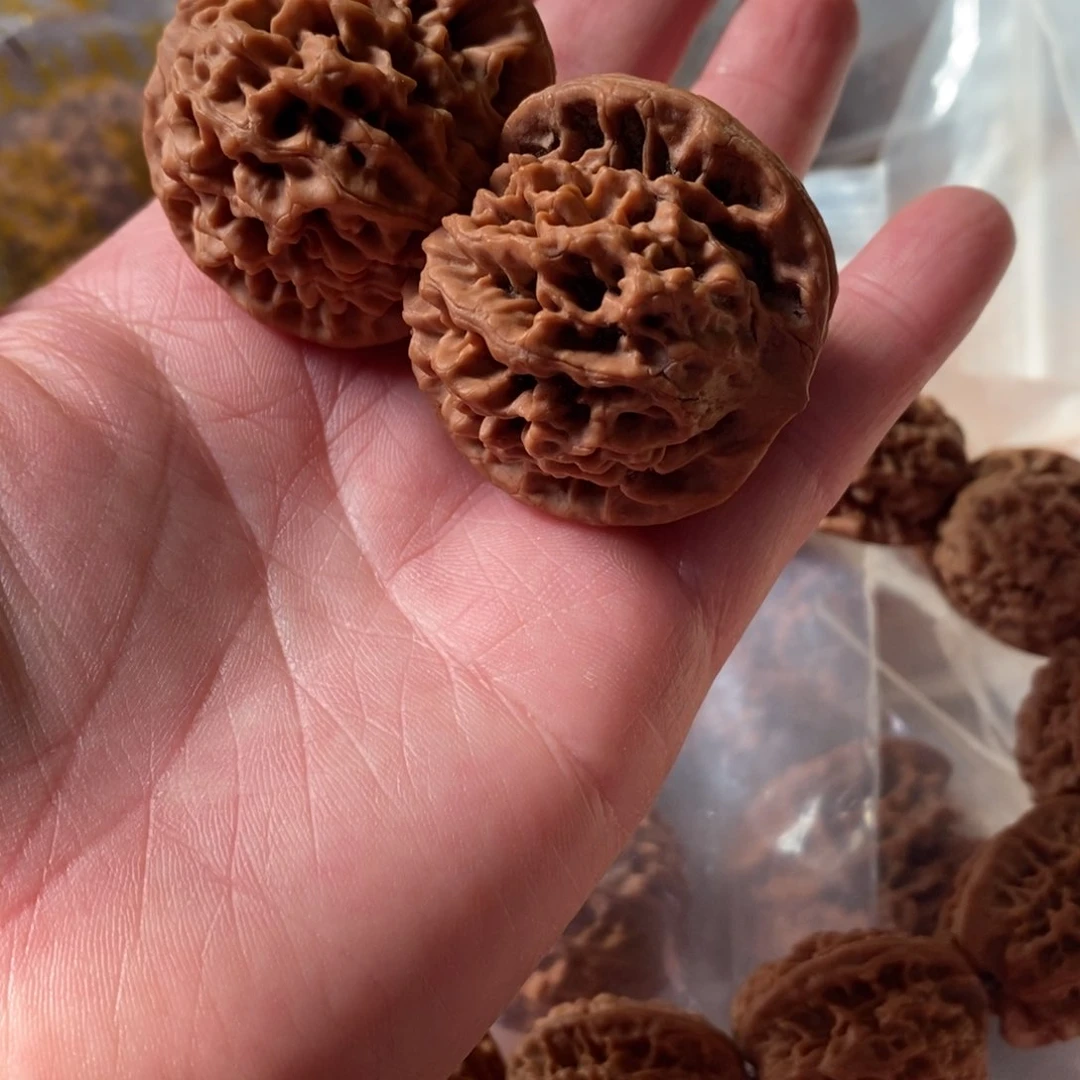 秦岭野生核桃秦闷