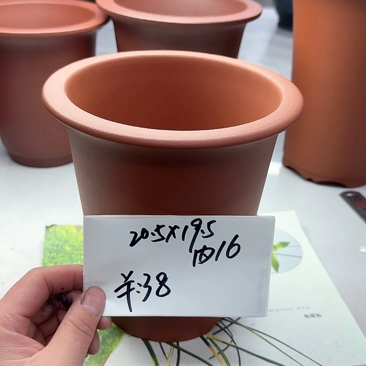 紫砂2222222222222222222