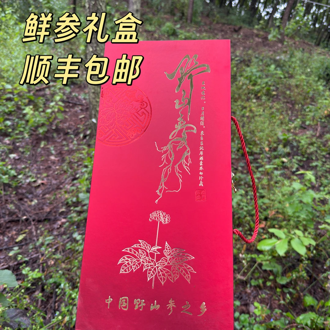 鲜参礼盒长白山林下参籽货现采现挖
