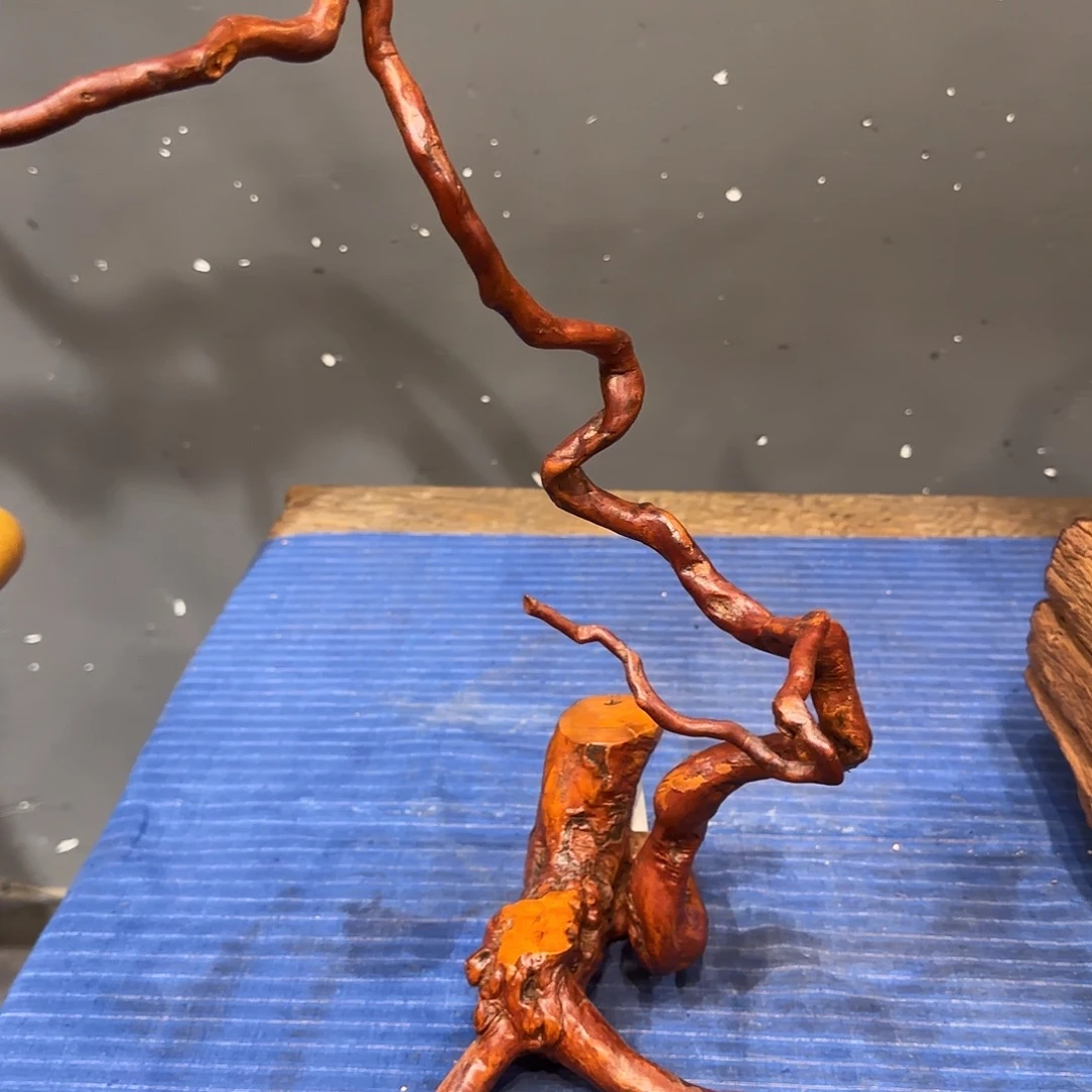 郭***军木一物一拍实物实拍