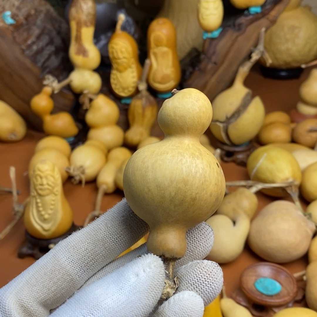 木***生啦啦教练咯教练教练咯