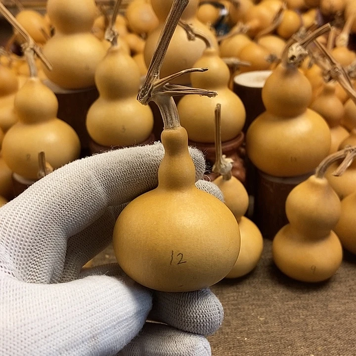 文玩葫芦 完美主义者 慎拍12