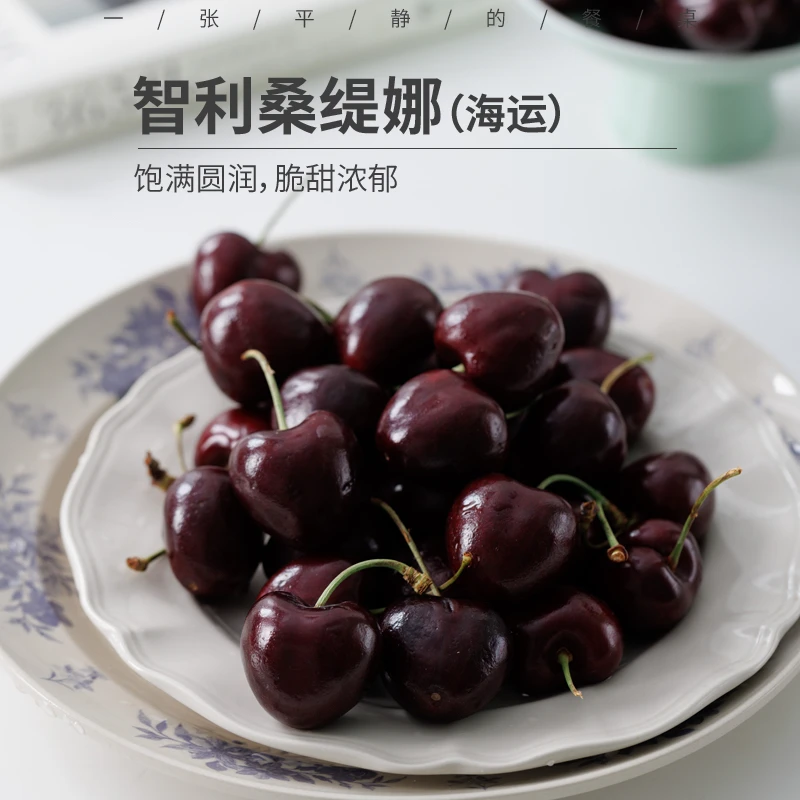 智利海运桑提娜车厘子硬度高略带酸冷藏食用 2J5斤 内附果径卡