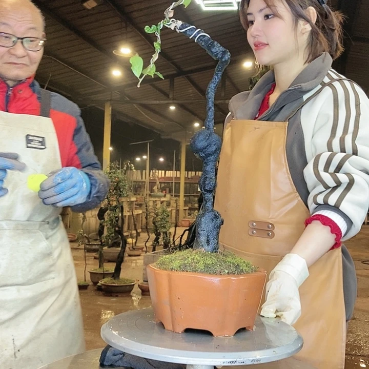 我是陈龙？不用啦啊不去