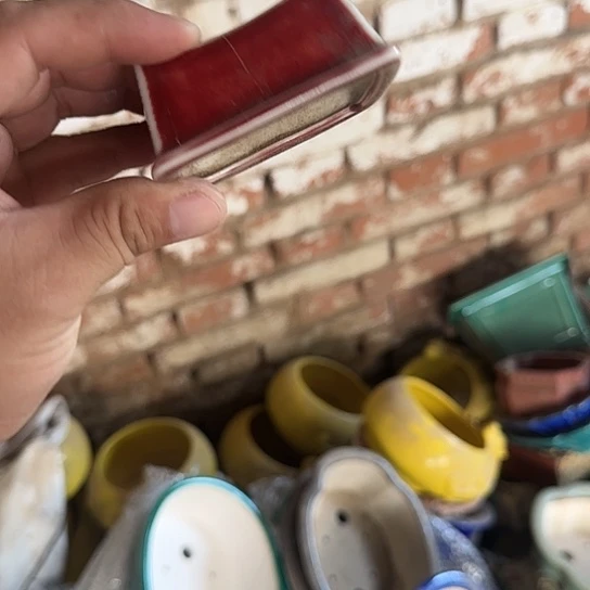 这一期太有意思咯嘛啊太开心