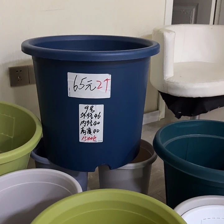 墨绿色9号无托2个
