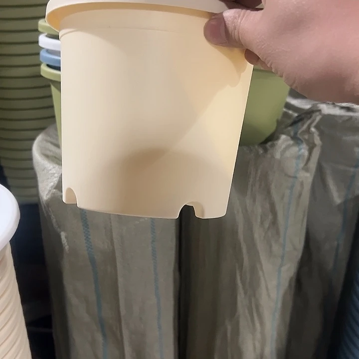 圆2号米5个带托盘