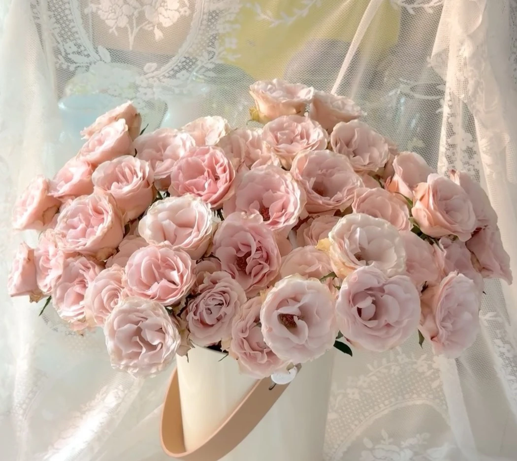 【10枝多头和弦】全场任意两单顺丰冷链包邮，一单需补邮费！