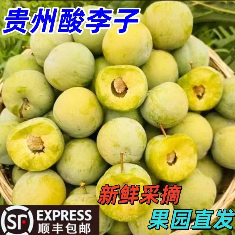 顺丰包邮贵州安顺镇宁新鲜应季水果四月李子孕妇水果怕酸慎拍