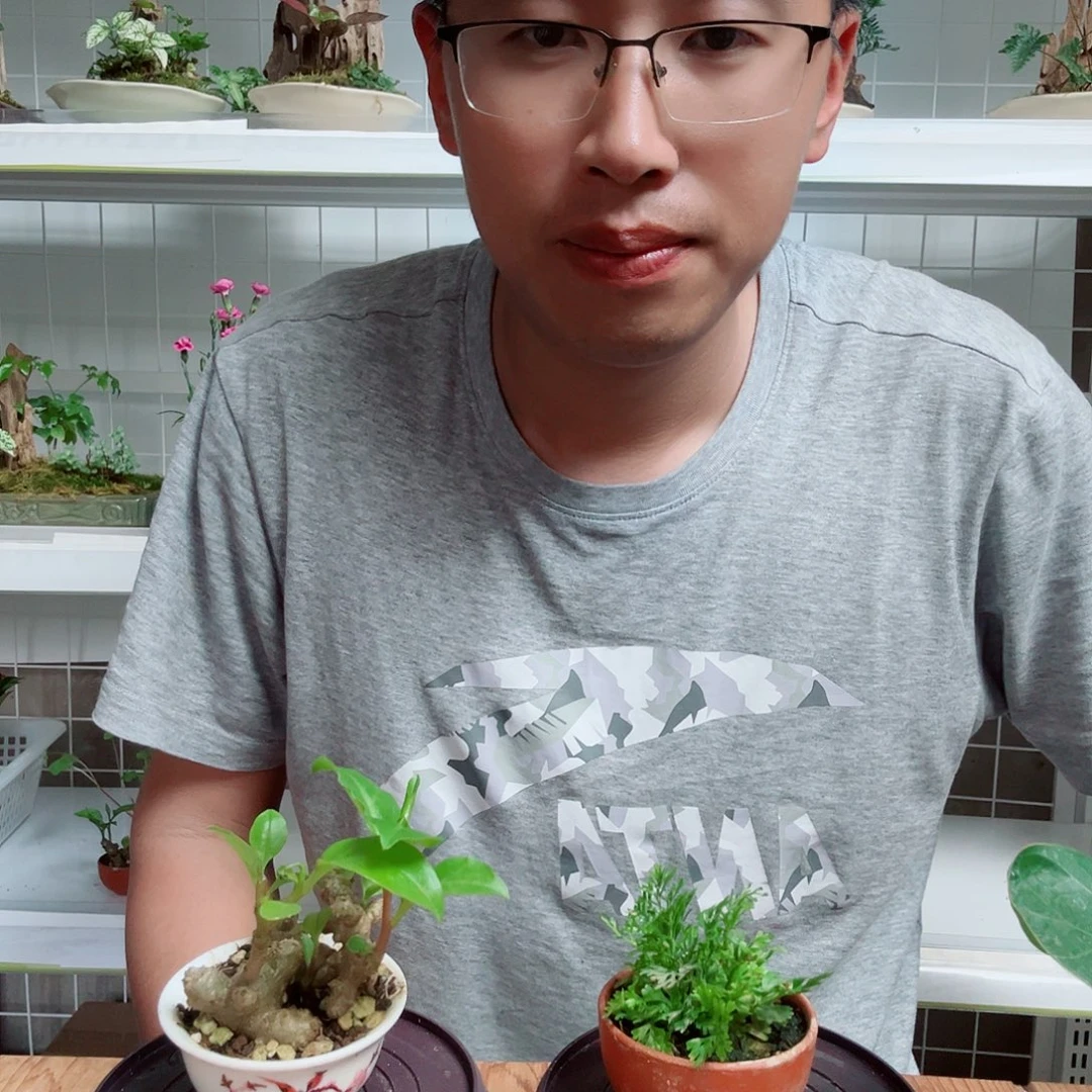 完全开放小*   3号