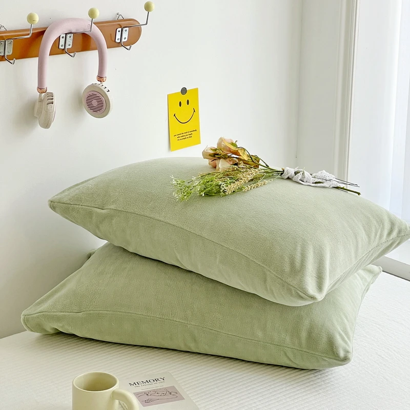 牛奶绒枕套一对单个装绒面枕头套珊瑚绒法兰绒冬季加绒48cmx74cm