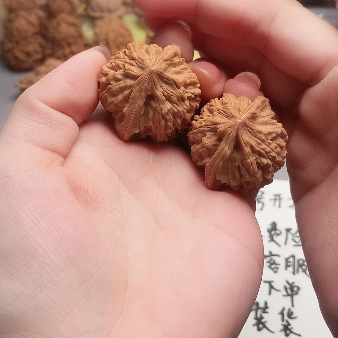 大叶紫檀（黑酸枝木类）野核