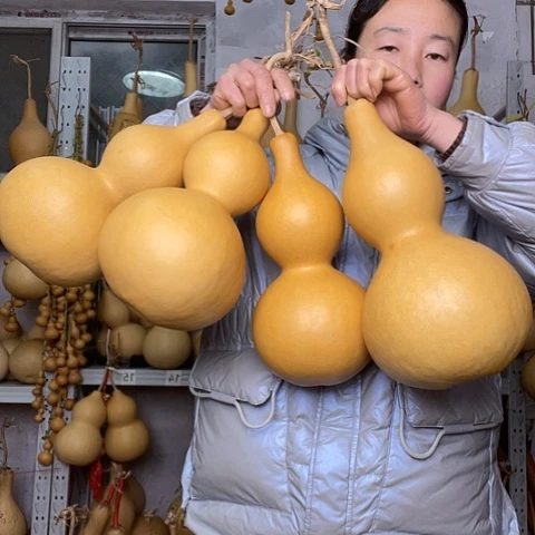有****天然植物葫芦文玩