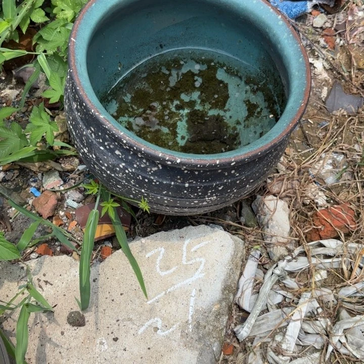紫砂花盆紫砂等珍贵文物