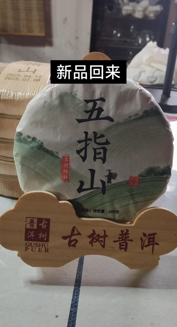 五指山古树！一款靠近森林的古树茶！有冰糖甜！冰糖韵！