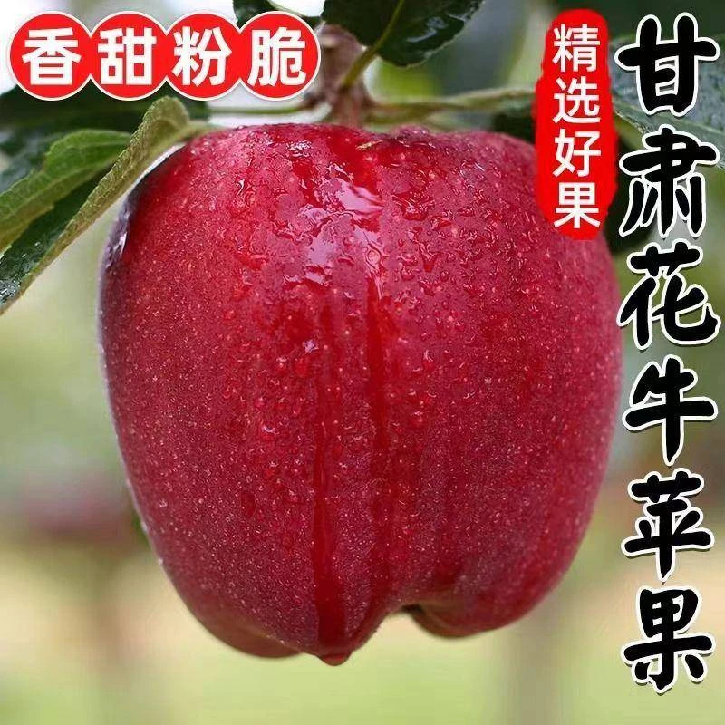 甘肃天水花牛苹果蛇红果婴儿辅食老人粉面沙甜脆新鲜水果