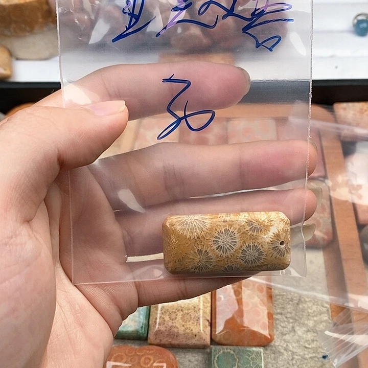 硅化玉颈饰未镶嵌