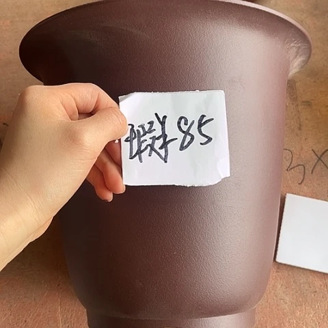 ?****?紫砂385852838585587485
