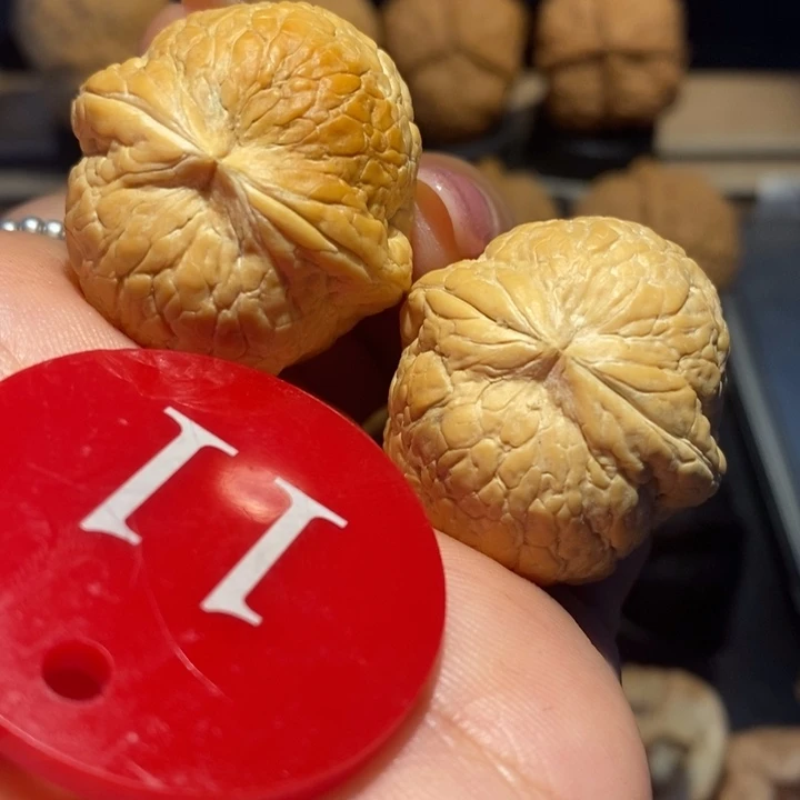 核桃粗筋大西瓜尺寸32