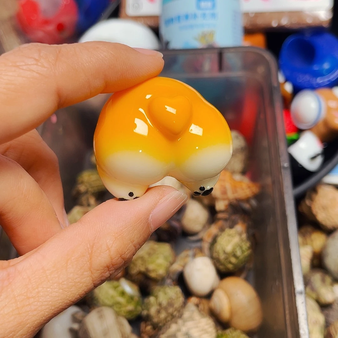 卡通壳科基屁屁2.0