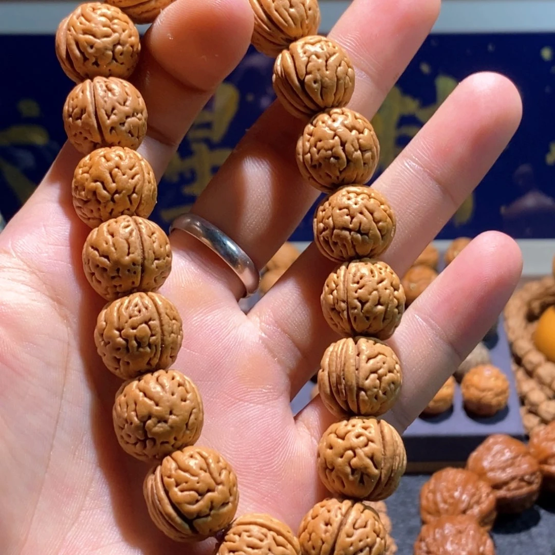 吊坠金刚菩提野生