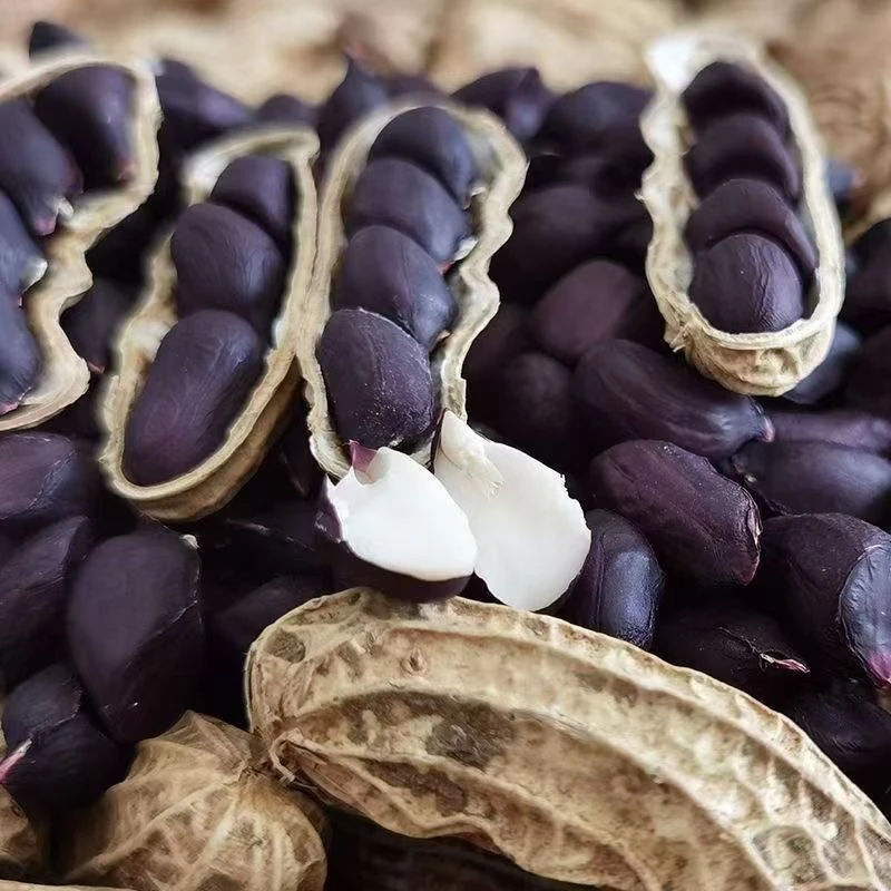 云南高山高海拔露天种植干黑花生带壳（老品种 个头小）