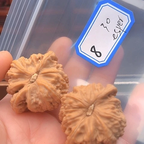 文玩核桃吊坠e****r白狮子