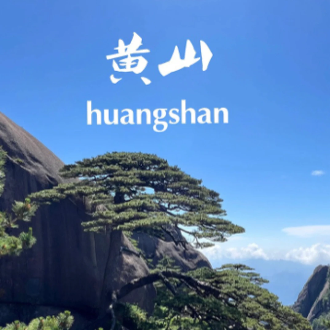 新茶【杨村雨前A1】黄山风景区小山头群体种毛峰S011