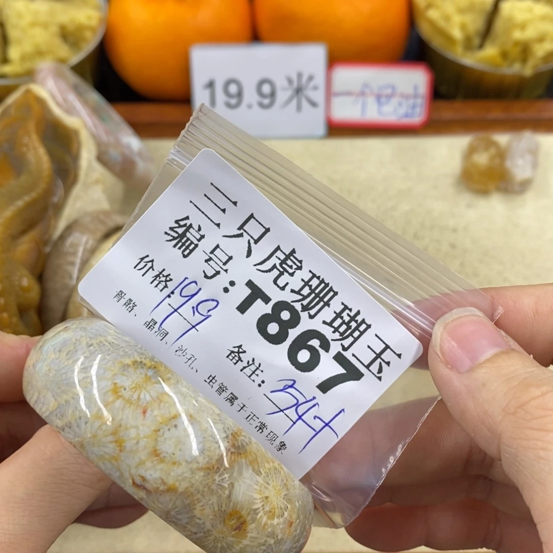 硅化珊瑚（珊瑚玉）1未镶嵌鱼