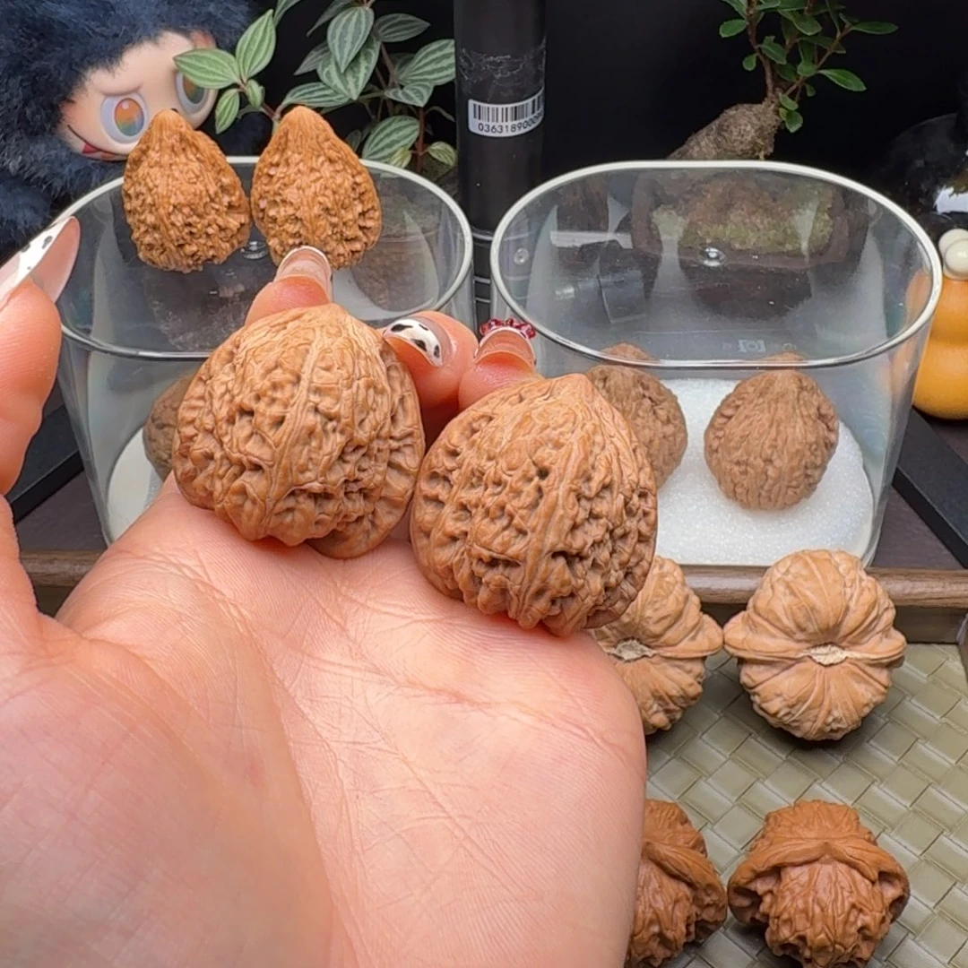吊坠龙脊菩提全品承德密纹34