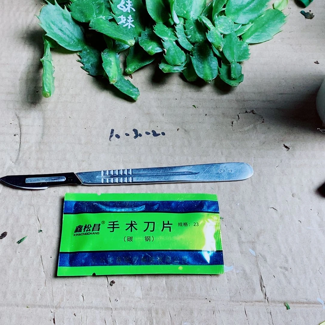 无花朵嫁接专用刀具一个刀柄➕10个刀片