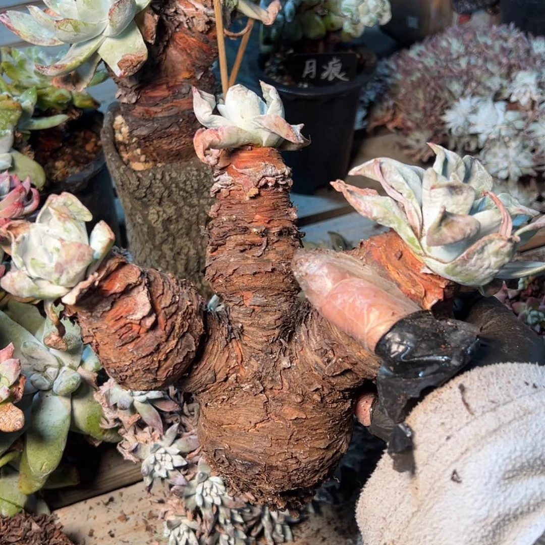 143哈哈哈哈哈哈哈哈