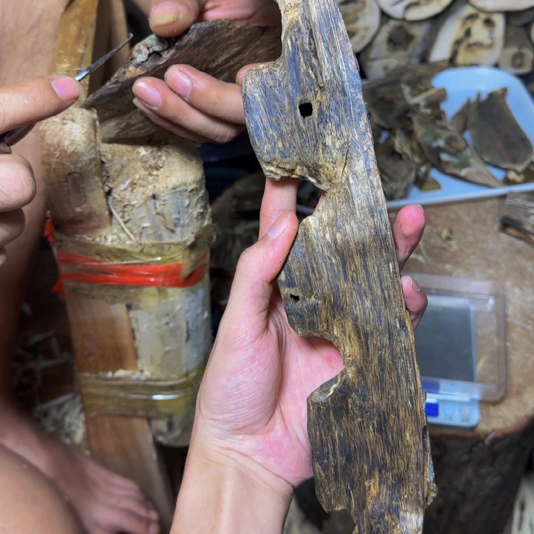 沉香乌身虫漏发一份
