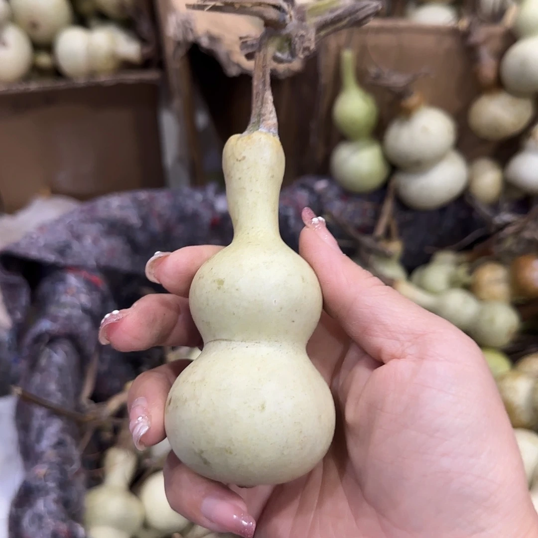 桑***资葫芦哥古古怪怪哈哈哈