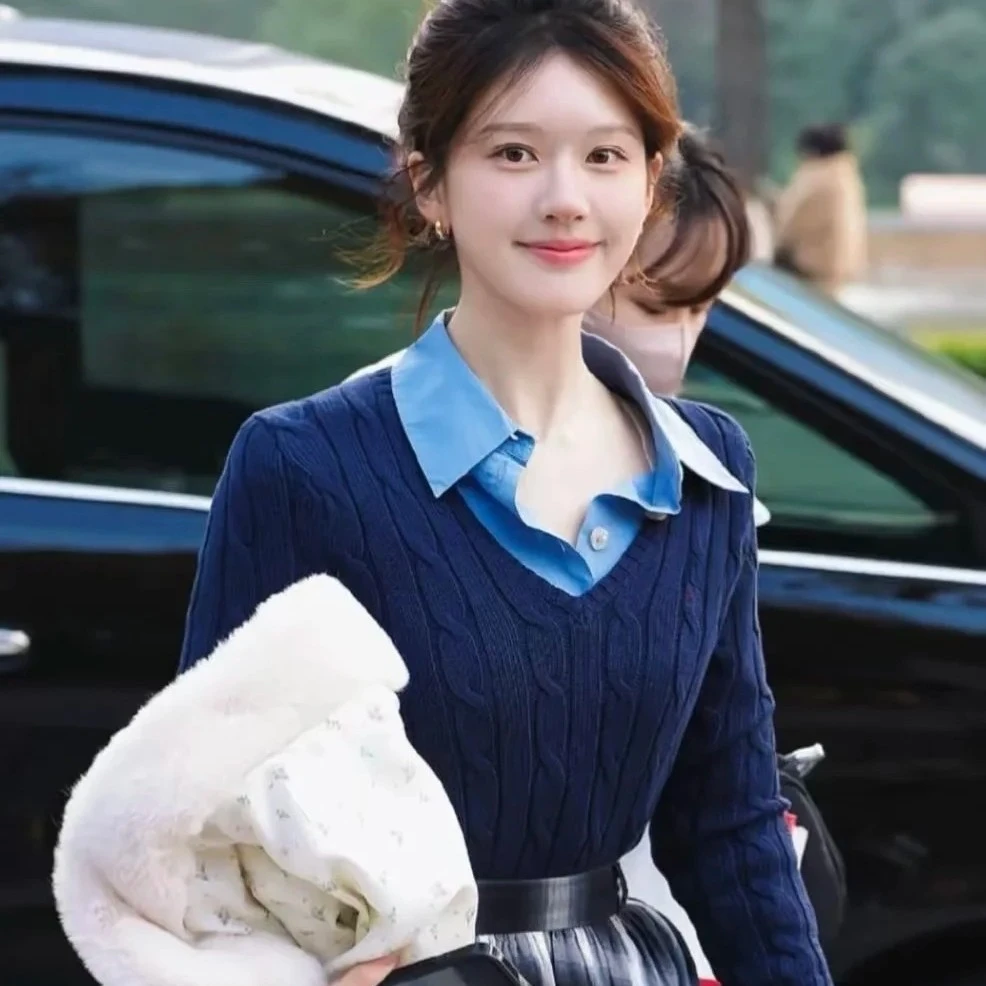 秋冬小马赵露思同款 v 领长袖刺绣毛衣针织衫