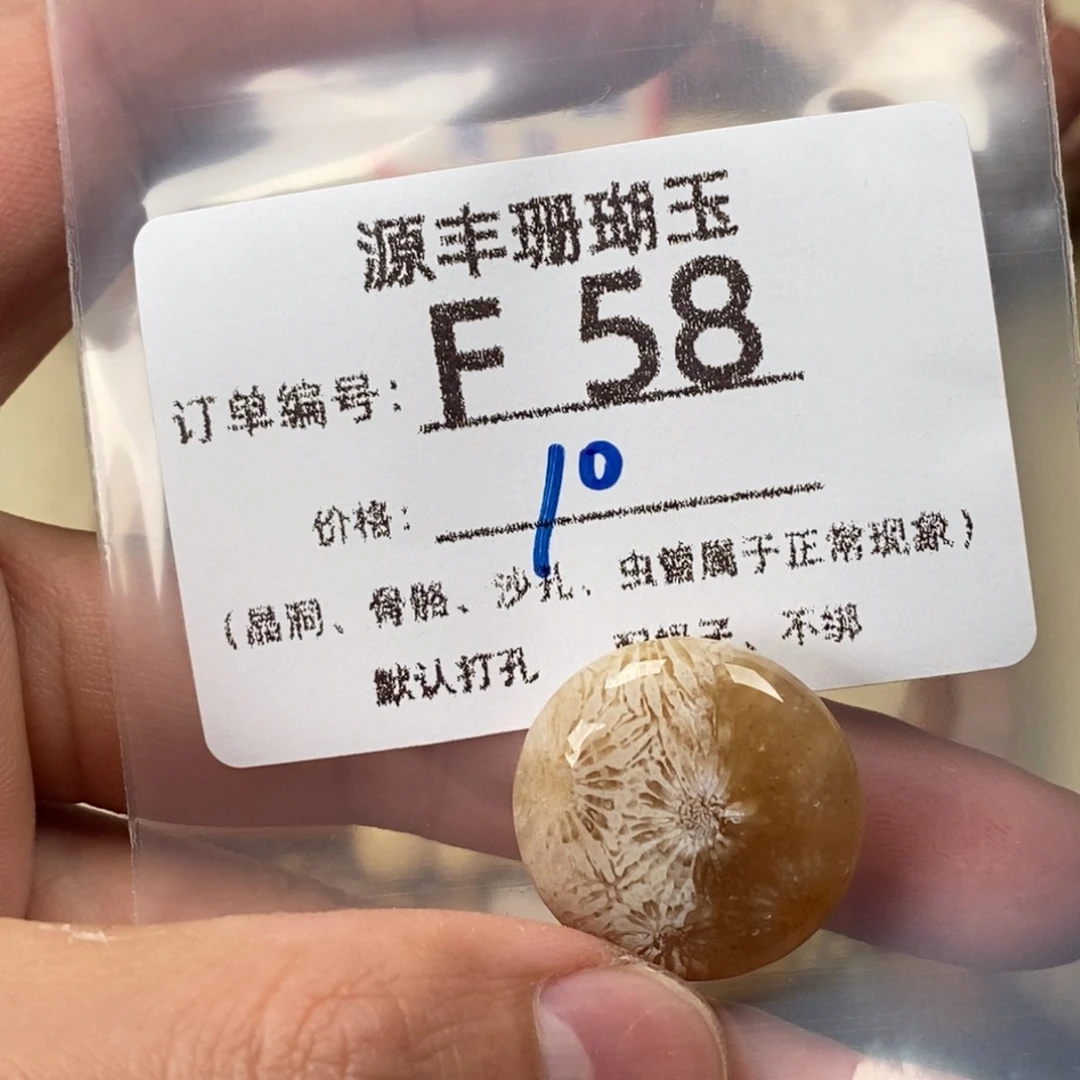 h****硅化玉未镶嵌颈饰