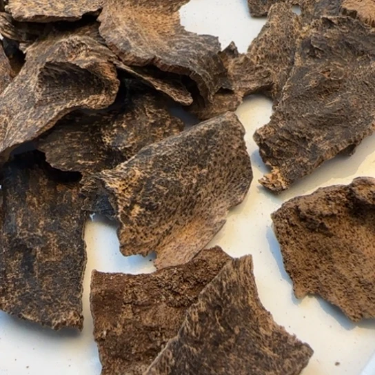 摆件沉香海南野东方包头10克多样性发货