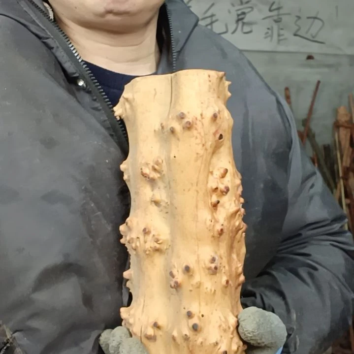 稳定木用****3贵州檬子木   铁马鞭   根艺  半成品