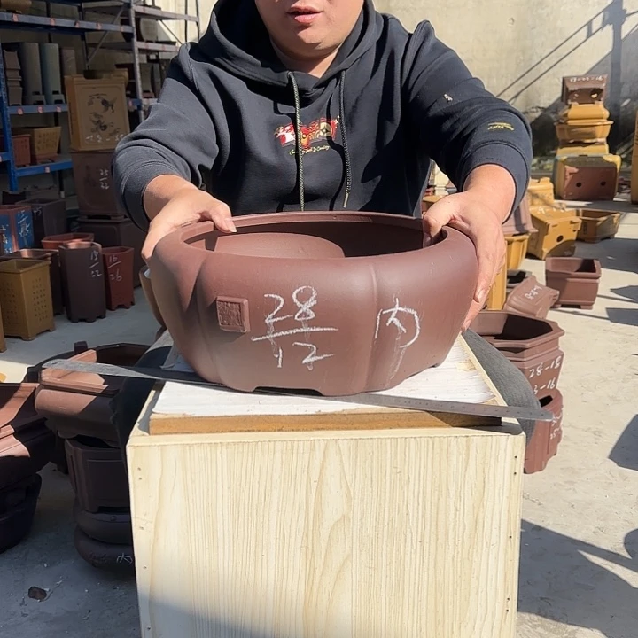 花盆紫砂这是什么