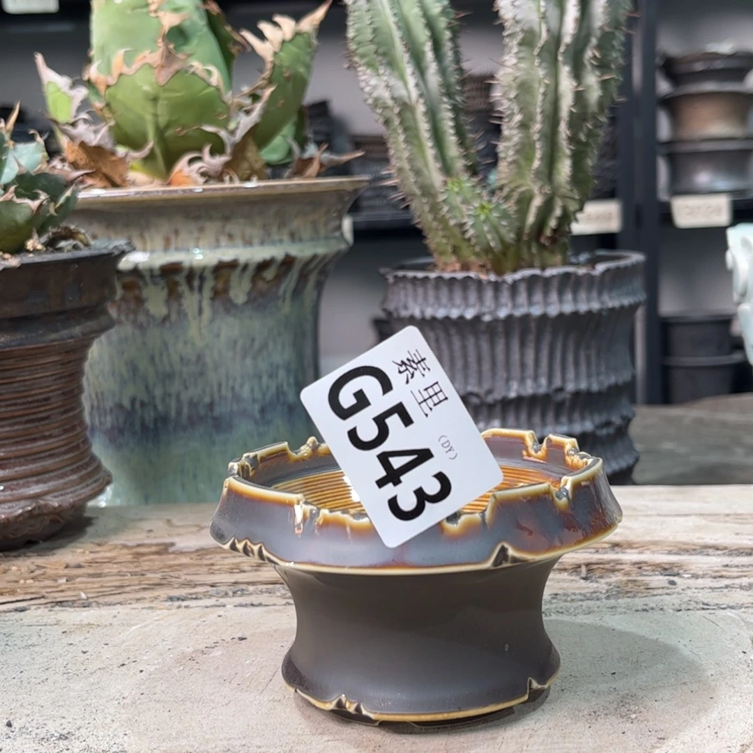 陶内口9高6景德镇