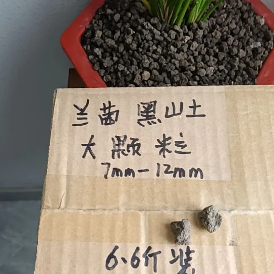 王***恒兰菌黑山土大颗粒6.6斤