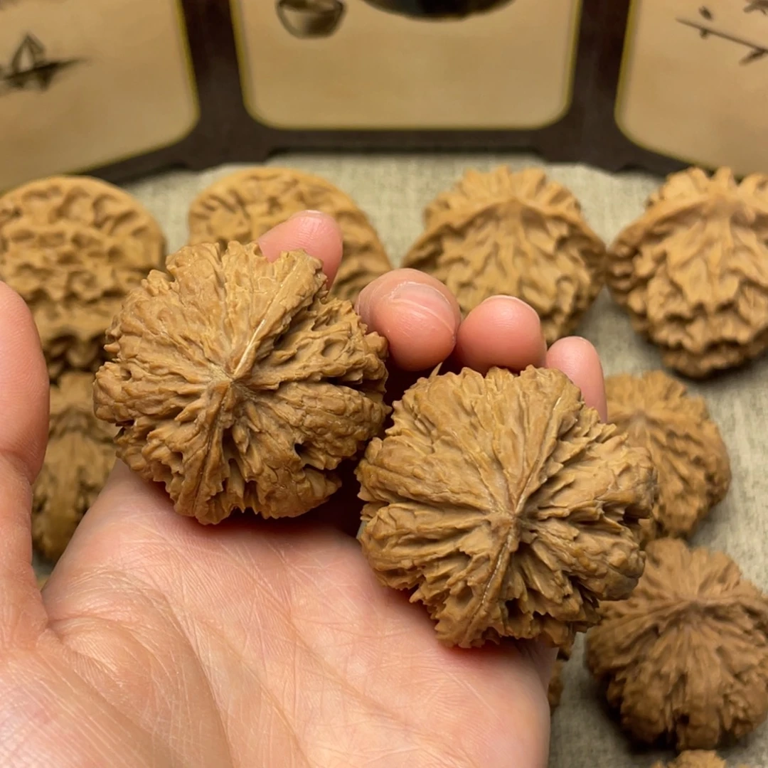 7***1核桃秦岭核桃13号